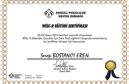Wisc-R