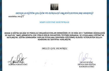 MMPI Eğitimi