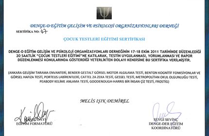 Çocuk testleri eğitimi