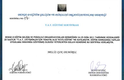 T.A.T. Eğitimi sertifikası